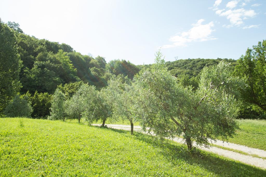 Villa Turisticna Kmetija Stanfel Podsabotin Exterior foto